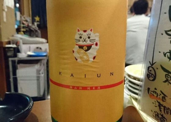 alt 1