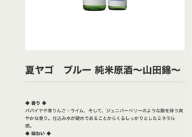 alt 3