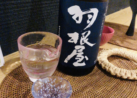 alt 1