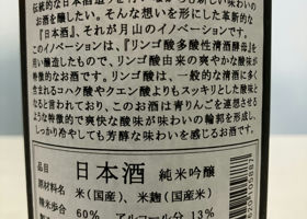 alt 3