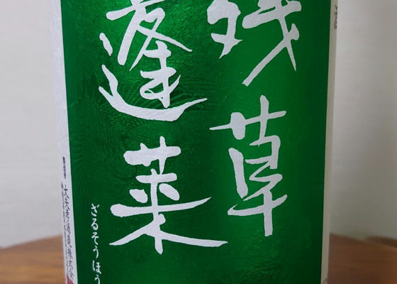alt 1