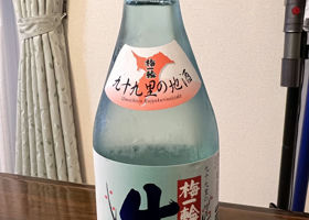 alt 1