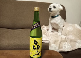 森本のラベルと瓶 3