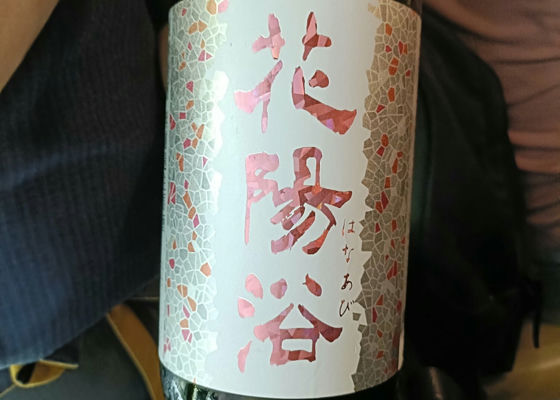 alt 1