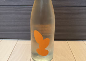 大嶺 チェックイン 1