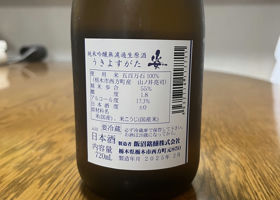 alt 2