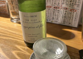 alt 1