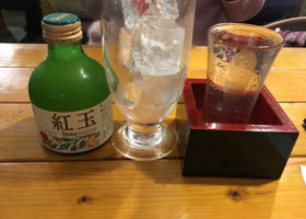 alt 1
