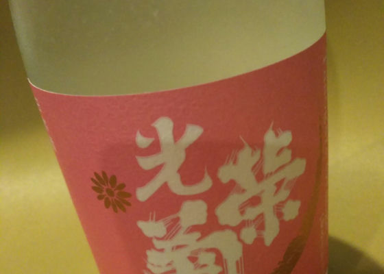 光栄菊