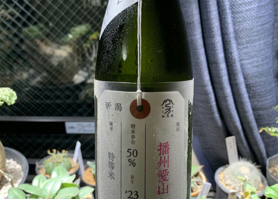 荷札酒 チェックイン 1