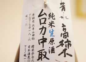 alt 3
