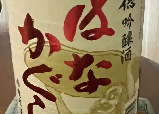 alt 1