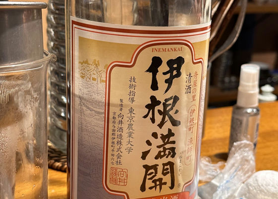 alt 1
