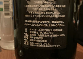 alt 3