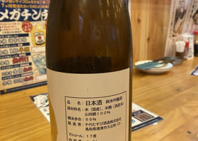 alt 1