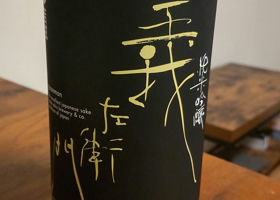 alt 1
