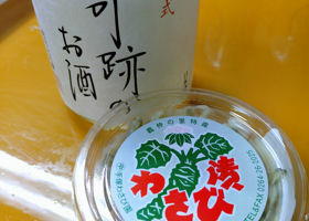 alt 3