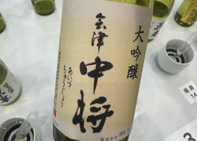 alt 1
