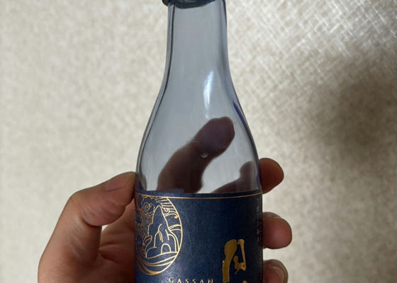 alt 1