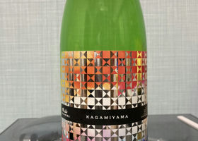 alt 1