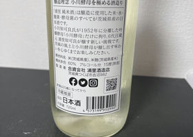 alt 3