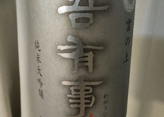 alt 1