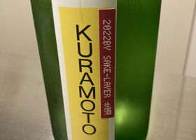 Kuramoto Check-in 1