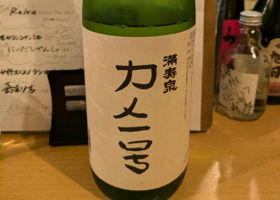 alt 1