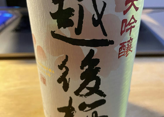 alt 1