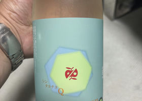 alt 3