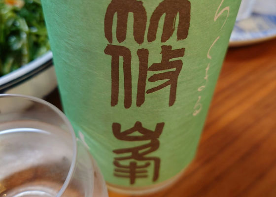 alt 1