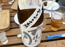 alt 3