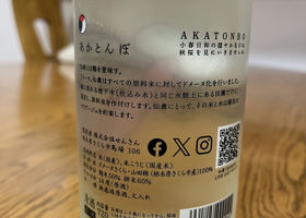 alt 2