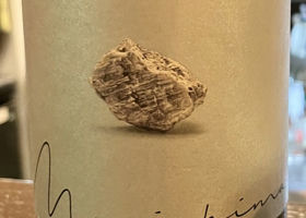 alt 1