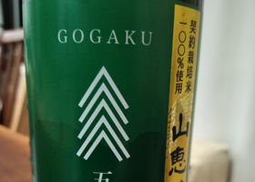 五岳 チェックイン 1