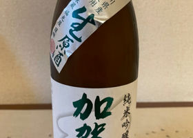 alt 1