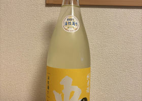 alt 1