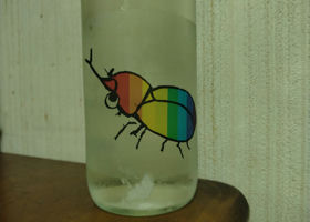 alt 1