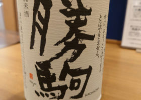 alt 1