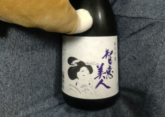 ちえびじん
