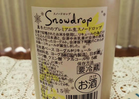 Snow drop チェックイン 2