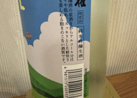 alt 3