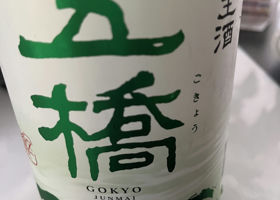 Gokyo Check-in 2