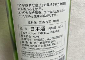 alt 4
