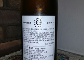 alt 2