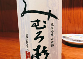 alt 1