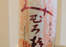 alt 3