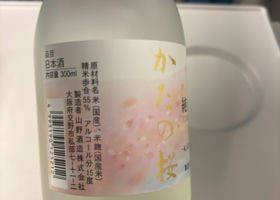 alt 3