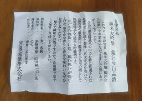 alt 3