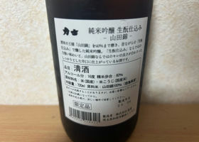 alt 3